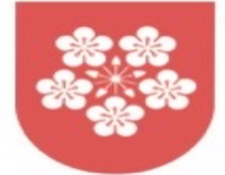 Lier kommune